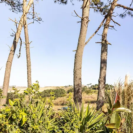 Bed & Breakfast Santa Cruz Surf House By Stoke Travel *