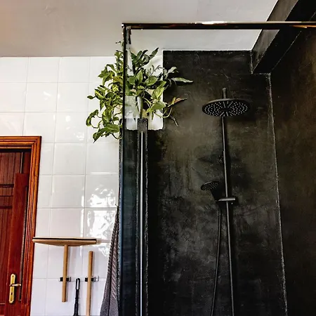 Santa Cruz Surf House By Stoke Travel ベッド・アンド・ブレックファスト