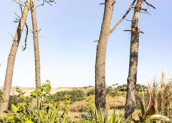 Alojamento de Acomodação e Pequeno-almoço Santa Cruz Surf House By Stoke Travel *